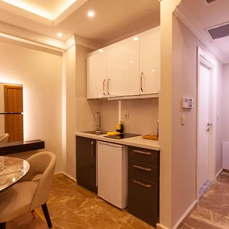 Lilium Luxure Suites Taksim Hotel Istanboel